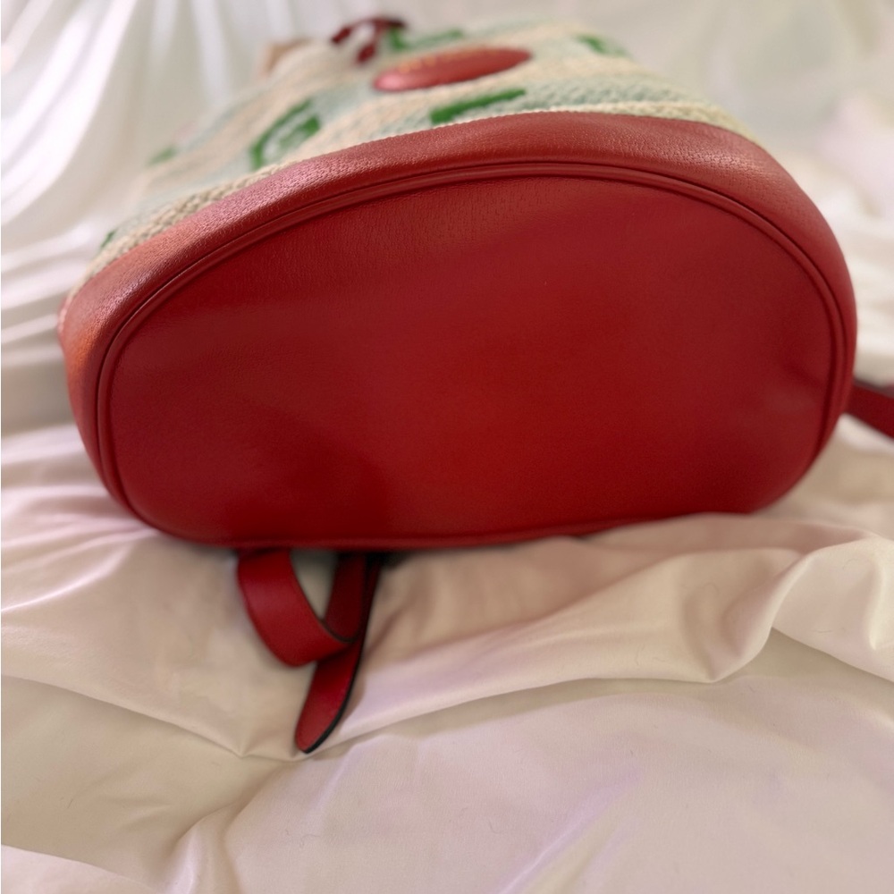 Gucci “Miami” Drawstring Backpack - Picture 5 of 16